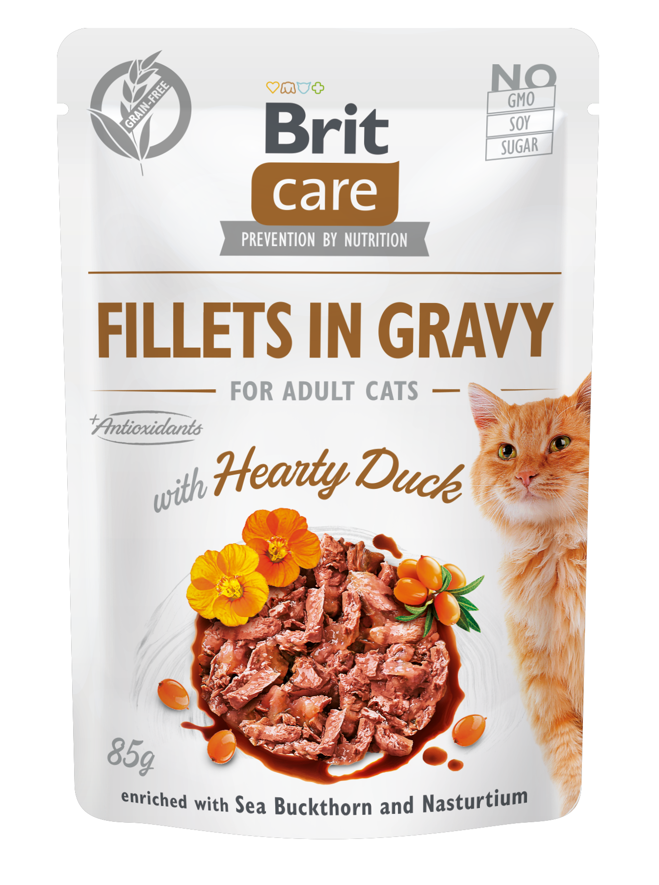 Brit Care Gravy KACSA