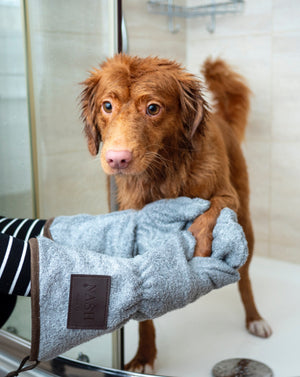 Kutyahigiénia: a kutya megfelelő gondozása