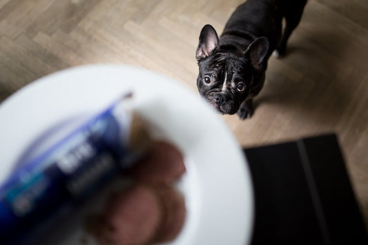 Heti egy böjtnap: Valóság vagy városi legenda?