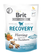 Brit Care Functional Snack RECOVERY